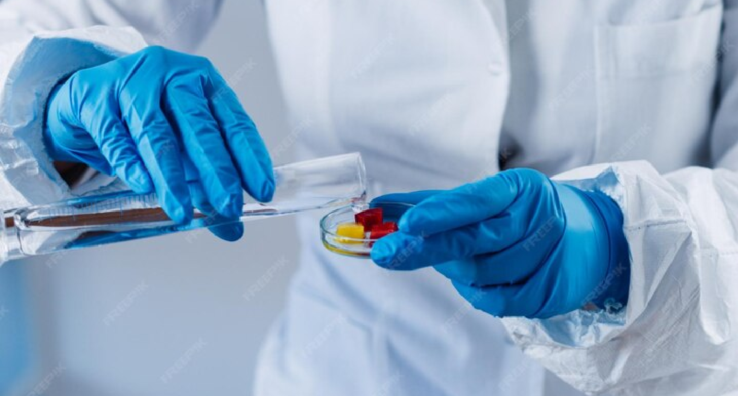 Desarrollo de Productos